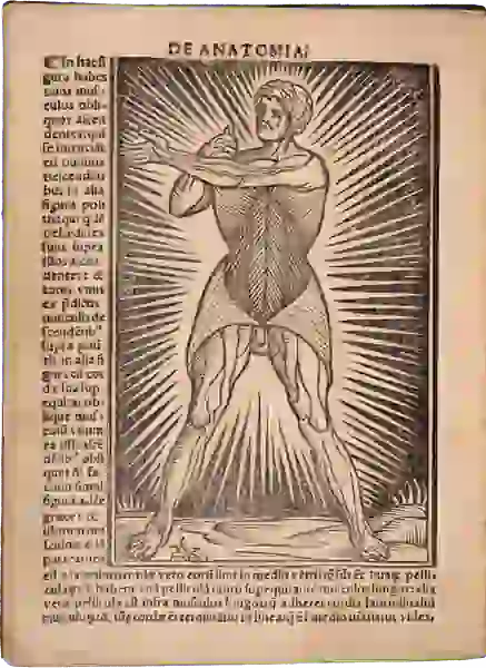 Crude woodcut figure of a dissected man, left hand extended across his chest, with lines radiating from his body