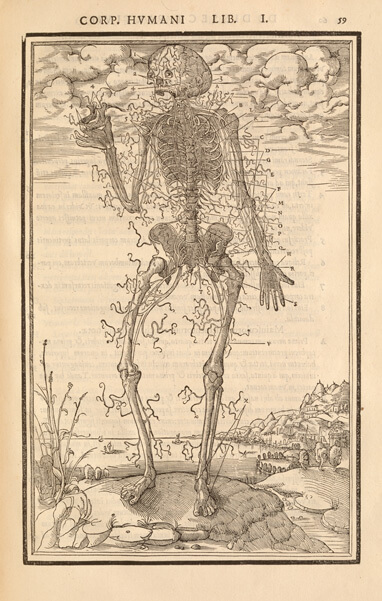 Skeleton with detached tendons, holding his jawbone, in front of a cloudy sky