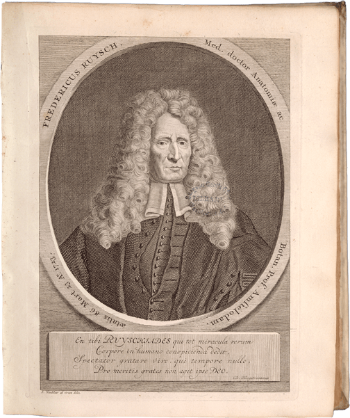 Portrait of a man wearing a periwig