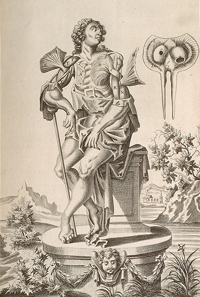 Seated figure of a dissected courtier