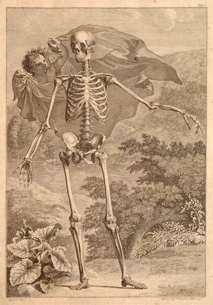 A skeleton stands in front of a winged angel-child who carries a cloak