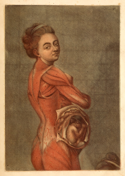 A pregnant woman looks over her shoulder at the viewer. Her skin is stripped off and her fetus is visible.