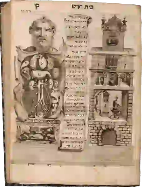 A dissected, armless bearded man opened up to reveal his main organs; each feature of the image is assigned a Hebrew letter