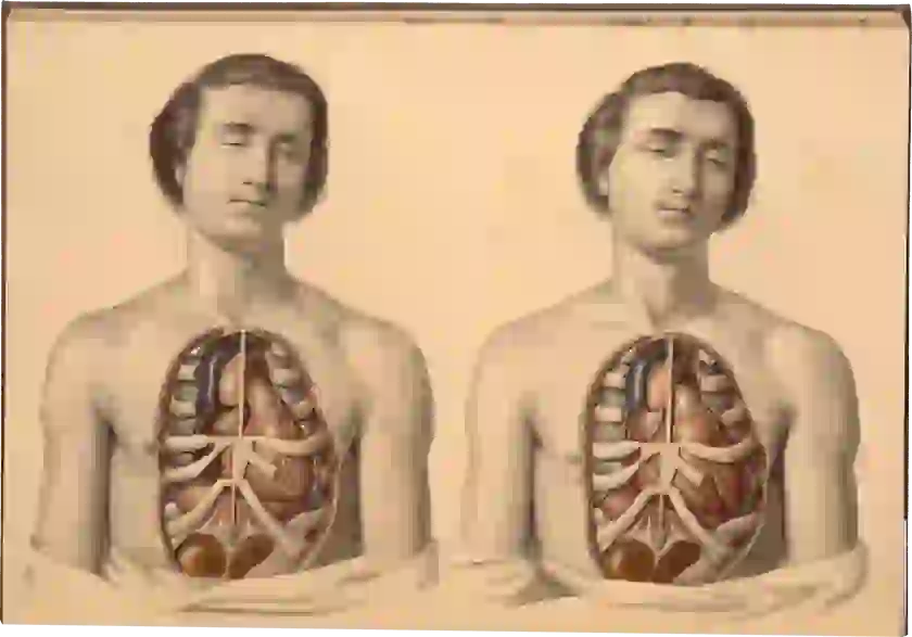 A young man with eyes closed, his chest skin and breast plate removed to show his heart