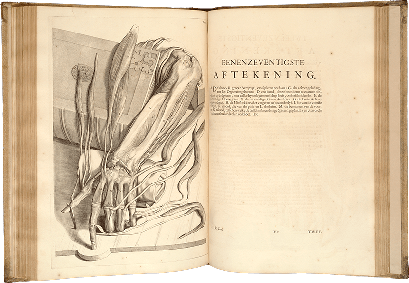 An arm extends from an opened folio book; the skin is flayed and exposed muscles and bones