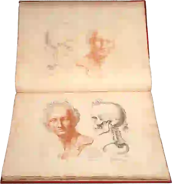 Left, a figure in the style of Greco-Roman portrait sculpture, showing musculature of the face. Right, the skull of the same figure looks on