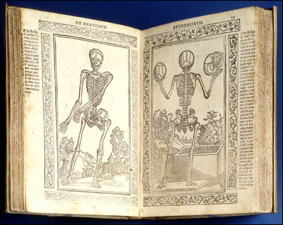 Isagogae breves per lucidae by Jacopo Berengario da Carpi open to show two pages. On the left page is an illustration of a skeleton standing facing front with its arms stretched out to its right. On the right page is an illustration of a keleton standing with its back showing holding a skull in each upraised hand.