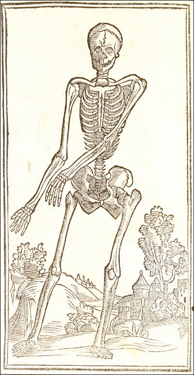 Isagogae breves per lucidae by Jacopo Berengario da Carpi featuring an illustration of a skeleton standing facing front with its arms stretched out to its right.