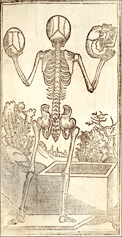 Isagogae breves per lucidae by Jacopo Berengario da Carpi featuring an illustration of a keleton standing with its back showing holding a skull in each upraised hand.