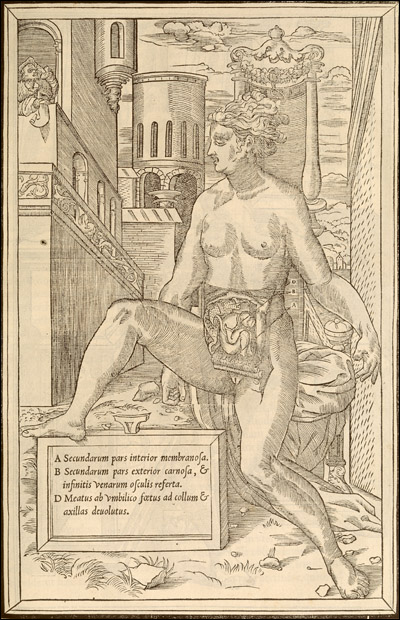 A naked woman, with her womb dissected, poses in front of a tower. Cropped, from Charles Estienne & Étienne de la Rivière, De dissectione partium corporis humani... (Paris, 1545). Woodcut. 