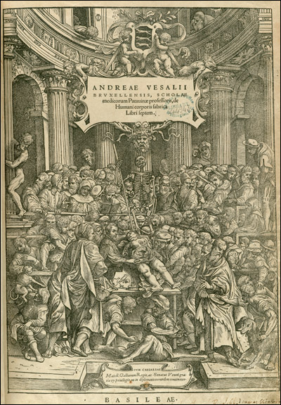 Vesalius dissects a cadaver in the center of a crowded anatomical theater, while Death hovers over the scene. Before De Fabrica, depictions of dissection had the anatomist presiding at some distance from the cadaver, while lower ranking barber-surgeons did the dirty work of dissecting. Cropped, from Andreas Vesalius, De Humani Corporis Fabrica (Basel, 1543), titlepage. Woodcut. Artists: Stephen van Calcar and the Workshop of Titian. 