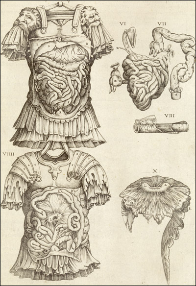The viscera dissected through a suit of Roman armor. Cropped, from Juan Valverde de Amusco, Anatomia del corpo humano... (Rome, 1559). Copperplate engraving. 