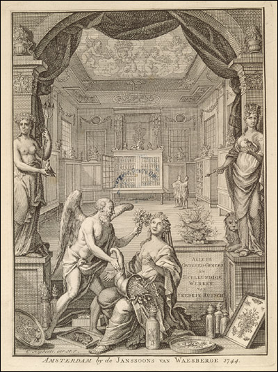 A male angel offers a bouquet to a seated woman who holds a cornucopia. Cropped from Fredrik Ruysch, Alle de ontleed- genees- en heelkindige werken... Vol. 3, Frontispiece. Amsterdam, 1744. Etching with engraving. 