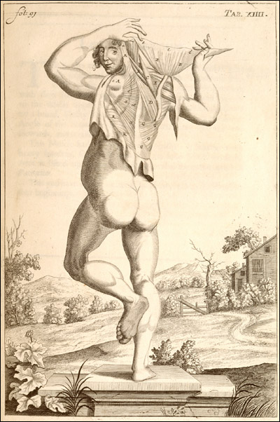 A flirtatious woman peeks over her shoulder while showing some dissected muscles. Cropped from John Browne, A compleat treatise of the muscles, as they appear in the humane body, and arise in dissection... (London, 1681). Copperplate engraving. 