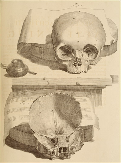 Top half of a skull. From Govard Bidloo, Ontleding des menschelyken lichaams... (Amsterdam, 1690). Copperplate engraving with etching. Artist: Gérard de Lairesse. 
