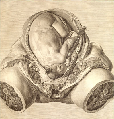 A realistically rendered view of the middle portion of a dissected pregnant woman and her baby, almost full-term. The woman’s upper body and legs have been removed. From William Hunter, The Anatomy of the Human Gravid Uterus (Birmingham, 1774). Copperplate engraving. Artist: Jan van Riemsdyk