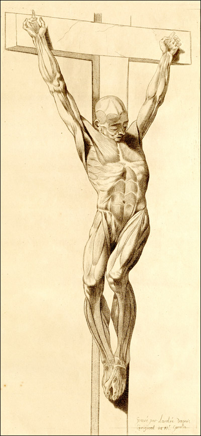 An anatomical Christ on the cross, displayed to show musculature. From Jacques Gamelin, Nouveau recueil d’ostéologie et de myologie (Toulouse, 1779). Etching. 