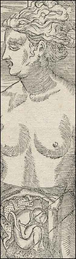 A naked woman, with her womb dissected, cropped, from Charles Estienne & Étienne de la Rivière, De dissectione partium corporis humani... (Paris, 1545). Woodcut. 