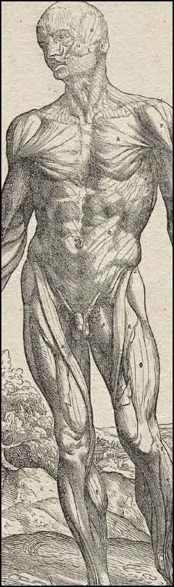 A man with his skin off, stands in front of a landscape. Cropped, from Andreas Vesalius,  De Humani Corporis Fabrica... (Basel, 1543). Woodcut.  Artist: Stephen van Calcar and the Workshop of Titian. 