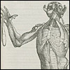 Monstrous dissected man gesturing. Cropped, from Andreas Vesalius, De Humani Corporis Fabrica... (Basel, 1543). Woodcut.  Artist: Stephen van Calcar and the Workshop of Titian. 