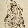 Dissected man showing the viewer his back. Cropped, from Giulio Casserio, Tabulae Anatomicae (Venice, 1627). Copperplate engraving. Artist: Odoardo Fialetti