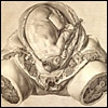 A realistically rendered view of the middle portion of a dissected pregnant woman and her baby, almost full-term. The woman’s upper body and legs have been removed. Cropped, from William Hunter, The Anatomy of the Human Gravid Uterus (Birmingham, 1774). Copperplate engraving. Artist: Jan van Riemsdyk
