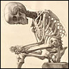 Skeleton of a boy sitting with his foot on his knee, as if removing a splinter. Cropped, from Francesco Bertinatti, Elementi di anatomia fisiologica applicata alle belle arti figurative (Turin, 1837-39).  Artist: Mecco Leone. Lithograph.