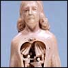 Anatomical manikin and diagnostic doll from France, Germany and Italy, ca. 1500-1700. Carved ivory. Courtesy of the Alabama Museum of the Health Sciences, University of Alabama, Birmingham.