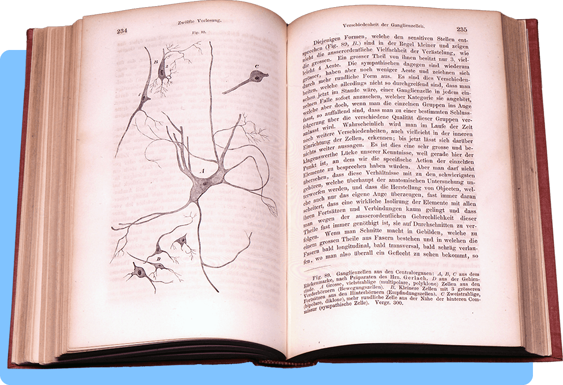 A book open to a two page spread with a microscopic illustration of four cells on the left and German text on the right
