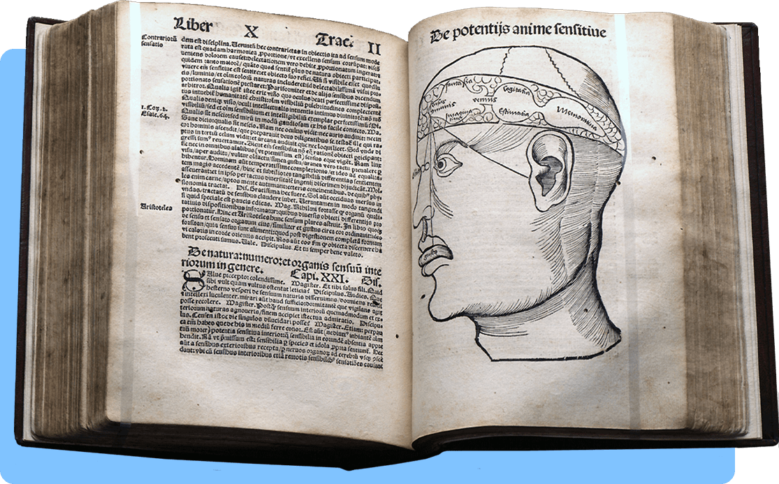 A book open to a two page spread with Latin text on the left and anatomical woodcut of a human head on the right