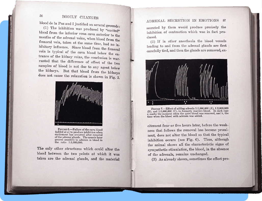 A book open to a two page spread with text and figures showing the activity of adrenal glands
