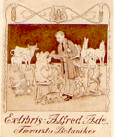Bookplate for Ex Libris Alfred Ade, Tierarzt u. Botaniker featuring an etching,of a pig sitting on a chair with its hoof being held up by Alfred Ade. Surrounding them are other animals wearing bandages.