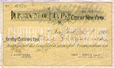 Yellow certificate of a 1904 successful vaccination for May Zimmerman from the Department of Health of City of New York.