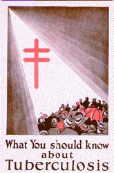 A color illustration of a white spotlight starting in the top left corner and covers a group of people in the bottom left corner. In the middle of the light is the red cross of Lorraine. On the bottom in brown lettering is What You should know about Tuberculosis.