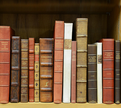 Multiple books on a shelf