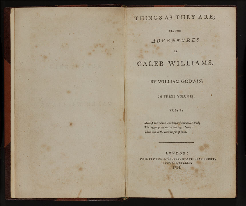 Frankenstein: Penetrating the Secrets of Nature: An Extraordinary Life