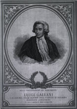 A man (Luigi Galvani) wearing a suit and wig, seated and looking to the left.
