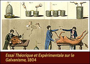 Scientists experimenting on headless ox cadaver with electrical equipment.