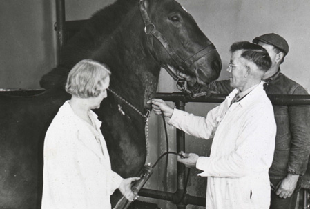Man in a white jumpsuit holds a piece of rubber tubing to a horse’s neck to drain blood.  Woman in a white lab coat holds canister to collect draining blood.  Another man stands in the background.