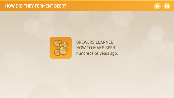 Introduction screen titled How Did They Ferment Beer.