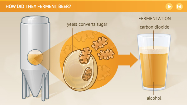 How did they ferment beer?