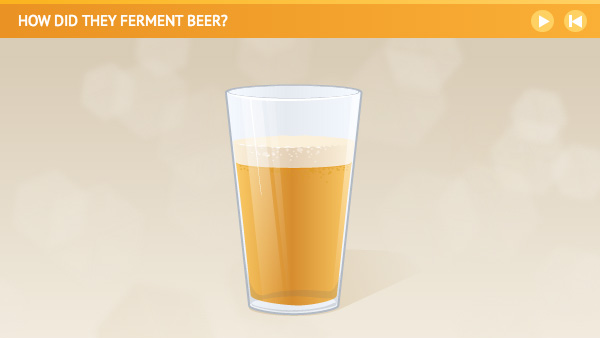 Illustration of a glass a beer, the final product of fermentation.