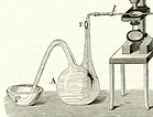 Bulb-shaped glass flask with two long thin necks sits next to an upright brass microscope on a small metal stand.
