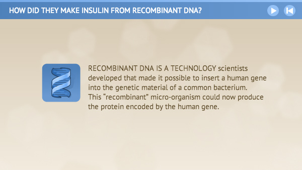 Introduction screen titled How did they make insulin from recombinant DNA.