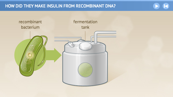 Illustration of recombinant bacterium entering a fermentation tank.