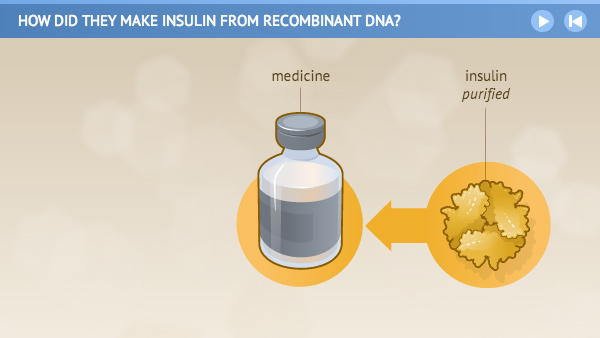 Illustration of insulin purified and placed into a medicine bottle.
