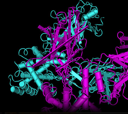 3D graphic representation of Nucleotide-free Diphtheria Toxin