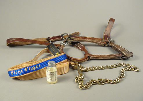 Leather horse harness, coiled horse’s lead with “First Flight” woven into fabric, and a small labeled glass vial.