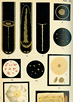 Color plate with ten illustrations of lactic acid bacteria growing in test tubes and on culture plates.