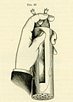 Drawing of a hand holding a guinea pig in a cylindrical guinea pig holder.  Guinea pig is in the holder head first with its hind feet sticking out from the open end.
